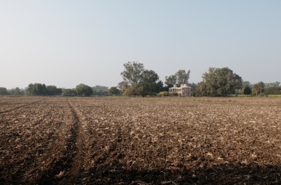 Farm Landscape After Wheat Sowing Dec 2018