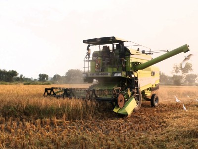 Harvesting Rice with Combine Nov 2021