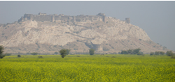Isarda Fort Jaipur Sawai Madhopur