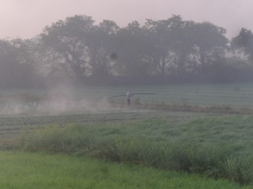 Laxman Moving Watering Pipes Wheat Field Jan 2026