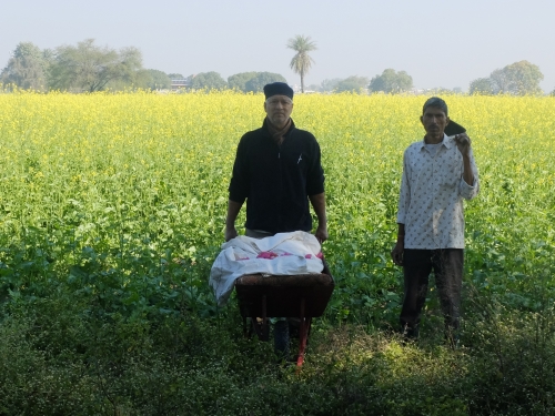 Lucy in Wheelbarrow Opposite Burial Sport Dec 2025