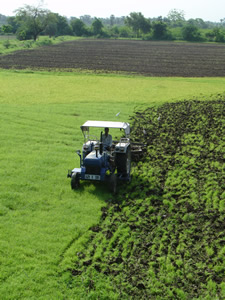 Ploughing After Monsoon
