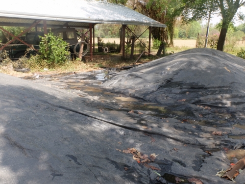 Rain Water on Tarpaulins May 2026