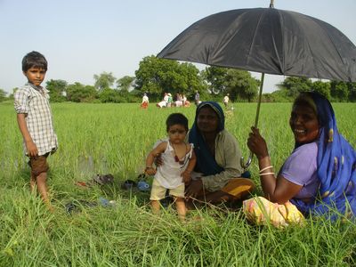 Rice Weeders in Kalaji Goraji
