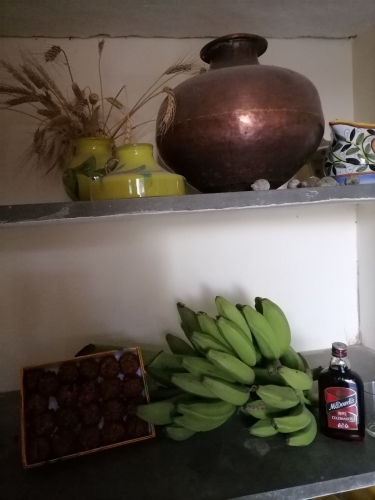 Bananas Sweetmeats and Rum at Holi Mar 2026