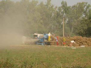 Thresing the Soyabean Crop