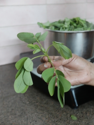 Wild Poadia for Subjee July 2025