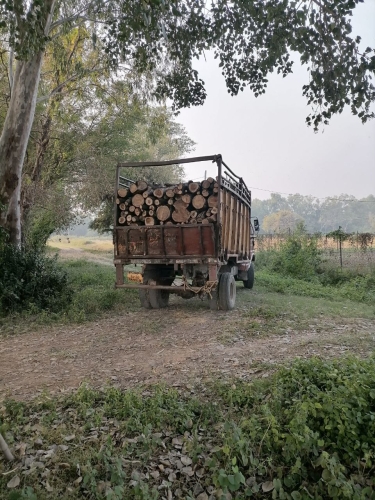 Wood Leaving the Farm Nov 2025